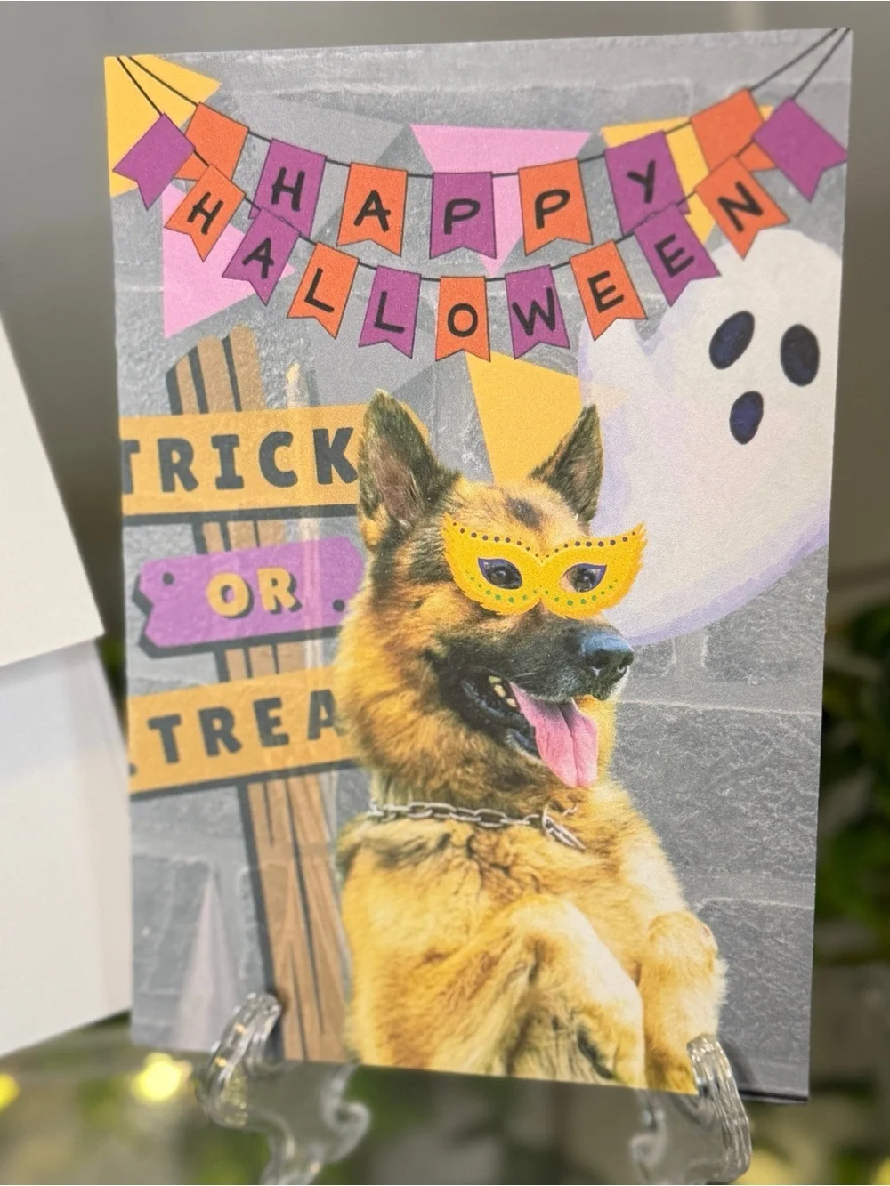German Shepherd Halloween Greeting Cards Trick or Treat Blank Inside Set of 10